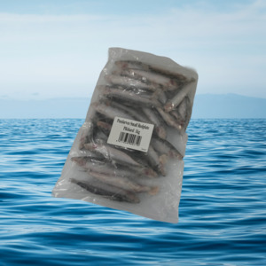 Pilchards: Small Red Plate Pilchards 1KG
