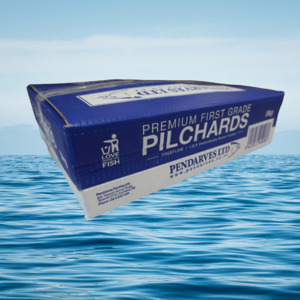 5KG Pilchards