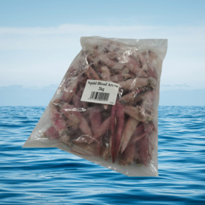 Squid: Blood Arrow Squid 2KG