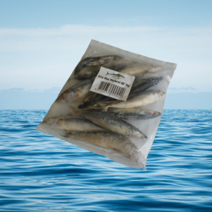 Baby Blue Mackerel 1KG