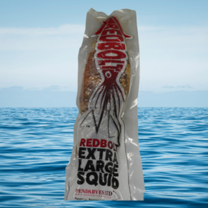 Special Bait: Redbolt XL Squid