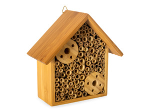 The Bug Hut