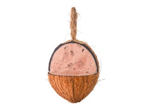 Bug & Berry Coconut