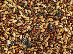 Wild Bird Seed Mix - Coarse