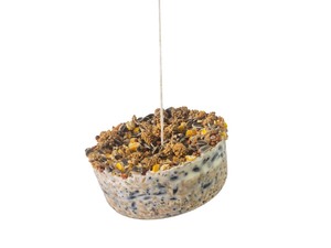 Wild Bird Feed: Wild Bird Gourmet Hanging Treat