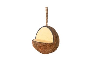 Get Set For Winter: Wild Bird Energy Coconut Feeder