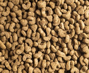 Pellets: Super Premium Rabbit & Guinea Pig Nuggets