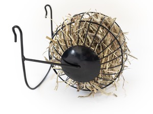 Most Popular: The Forager Hay Feeder