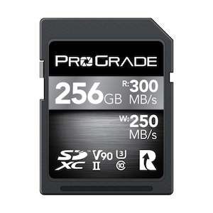 Rental: ProGrade 256GB Platinum SD Memory Card