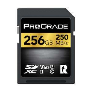 Rental: ProGrade 256GB Gold SD Memory Card