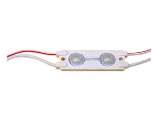 Commercial Lights: LED Module 2LEDs