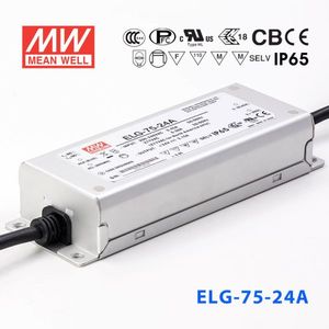 Hard Wire: Mean Well Power Supply ELG75