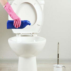 Toilet Stain & Odor Removal Service