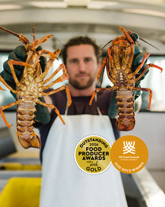 Products: Fresh Wild Crayfish Online NZ - Tora Collective - Kaimoana