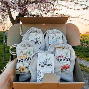 Nz Seed Bombs: Spring Colours 💐🌈 5 Blend Bundle
