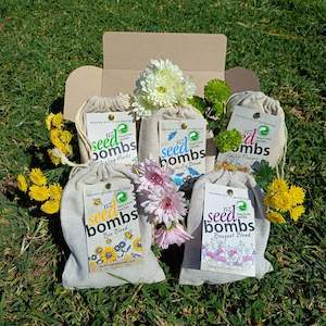 Pollinator Bundle 🐝🦋 5 Blend Bundle
