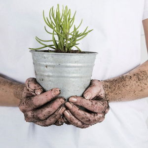 Old Zinc Flower Pot 14cm