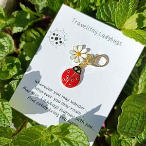 Under 20: 🐞 Ladybug & Daisy Clip Charm