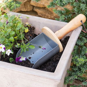 Container Scoop - RHS-Endorsed Burgon & Ball
