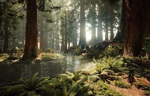 Blue Springs, Redwood Forest, Huka Falls Private tour