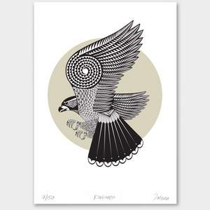 Bird Prints: Karearea Limited Edition Print