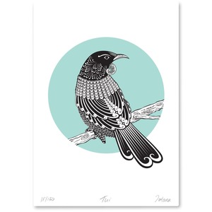 Bird Prints: Tui Limited Edition Print