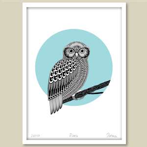 Bird Prints: Ruru Limited Edition Print