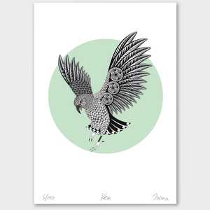 Bird Prints: Kea Limited Edition Print