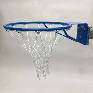 Basketball Removable Hoop & Back Plate