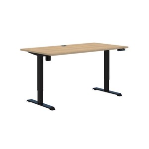 Accent Duo II Electric Desk