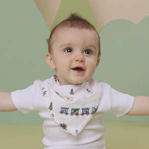 Bibs 1: Trains Organic Dribble Bib
