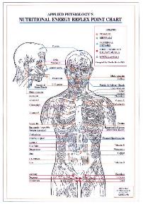 Products: Nutritional Energy Reflex Point Chart (A4)