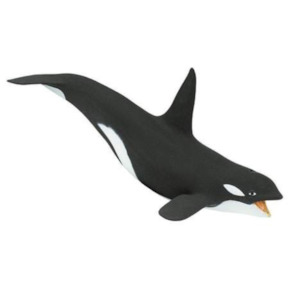 Safari: Safari Ltd Killer Whale