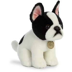 Antics: Aurora Miyoni Tots Boston Terrier pup