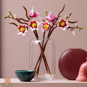 LEGO Botanicals Magnolia Branches 11510