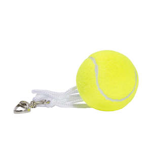 Outdoor and Sport-Outdoor Toys and Kites: Pole Tennis Ball With String And Hook
