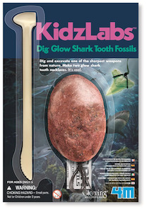 4m: 4M Dig & Excavate Mini Gid Shark Tooth Fossil