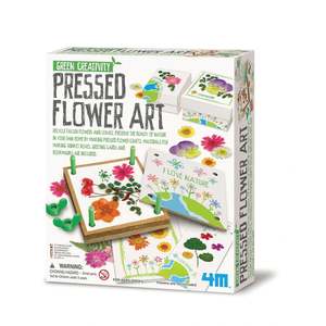 4m: 4M Green Science Pressed Flower Art