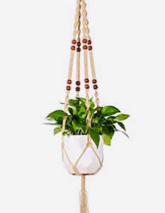 Plants: Hanging Planter