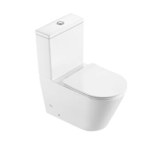 Toilet with WM Certified Dual-Flush System（CL-12373B）