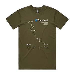 Transient