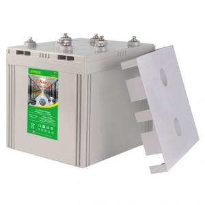 Batteries: EverExceed OPvZ Lead Carbon Batteries