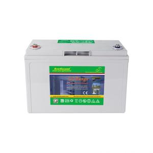 EverExceed 12V Lead Carbon Solar Batteries