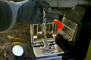 Products: Calibration Weights