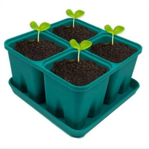 Silicon Seedling Trays