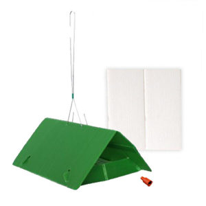 Products: Guava Moth Pheromone Trap Pack