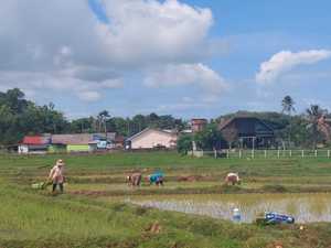 Products: Southern Laos Escape: Nature, Heritage & Hidden Wonders