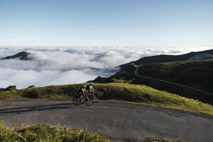 Products: Italian Dolomites - TREAT STUDIO