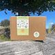 Past Box - Rimu Box