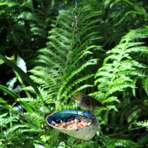 Products: Paua Dish Hanging Feeder - Tree Earrings bird feeders by Sisterhouse
